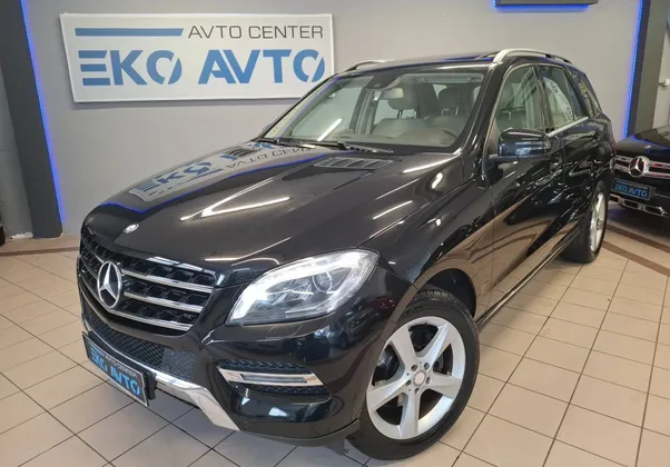 Zunanja slika - Mercedes-Benz ML-Razred - ML 250 BlueTEC 4MATIC ACC-STR.OKNO-NAVI-XENON-AL - 1