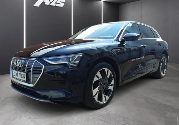 Zunanja slika - Audi e-tron - 55 Advanced quattro... - 1