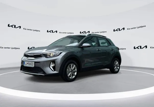 Zunanja slika - KIA Stonic - 1.2 DPI LX Urban+ M T... - 1