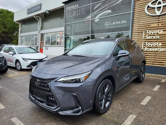 Zunanja slika - Lexus NX - NX - 1