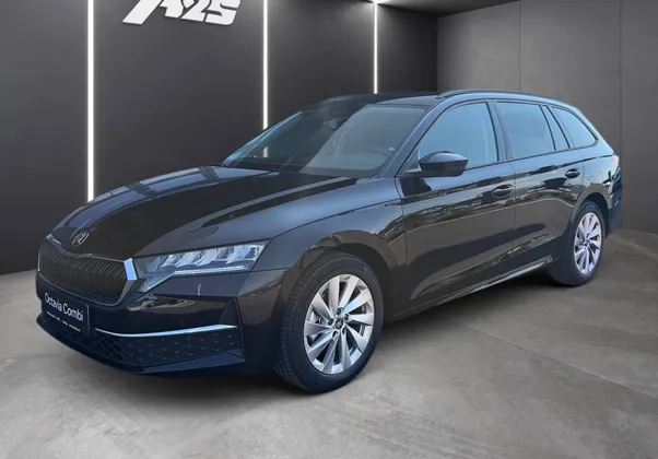 Zunanja slika - Škoda Octavia - Combi 1.5 TSI mHEV Family DSG... - 1
